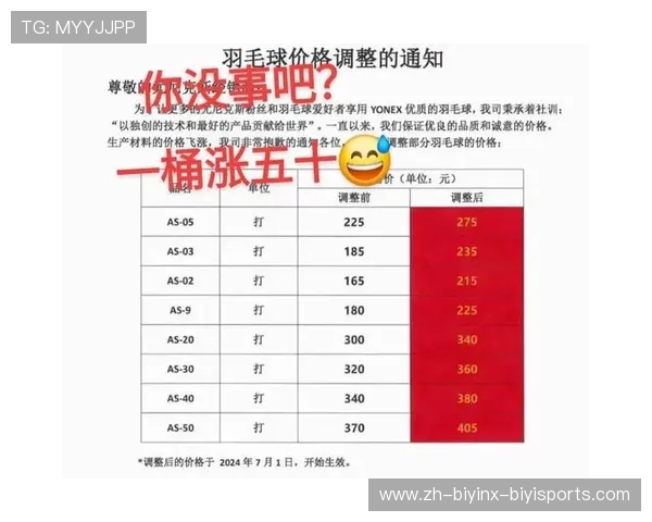 羽毛球价格球的价格